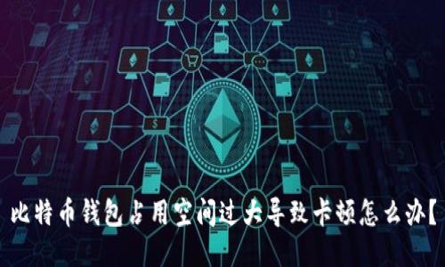 比特币钱包占用空间过大导致卡顿怎么办?