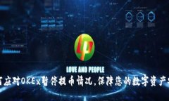 如何应对OKEx暂停提币情况,保障您的数字资产安