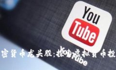 数字加密货币龙头股:探索虚拟货币投资策略