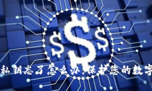 钱包私钥忘了怎么办,保护您的数字财产