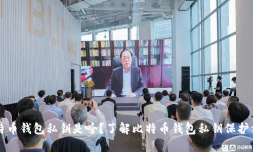 比特币钱包私钥是啥?了解比特币钱包私钥保护方法