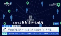 cgpay钱包有什么好处为什么要使用cgpay钱包?
