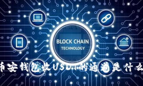 币安钱包收USDT的通道是什么?