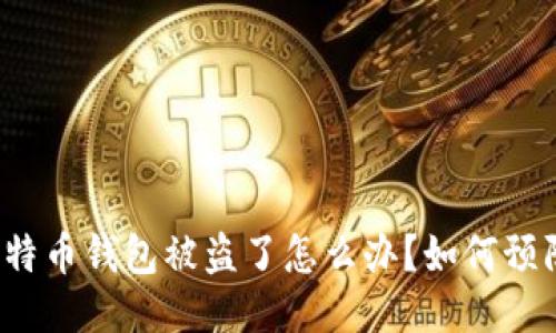 比特币钱包被盗了怎么办?如何预防?