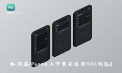 如何在iPhone上下载并使用BSC钱包?