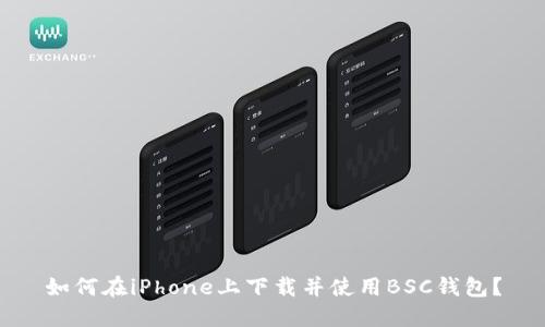 如何在iPhone上下载并使用BSC钱包?
