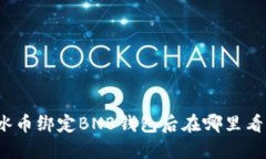 冰币绑定BNB钱包后在哪里看?
