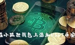 如何在小狐狸钱包上添加USDT币安主网?