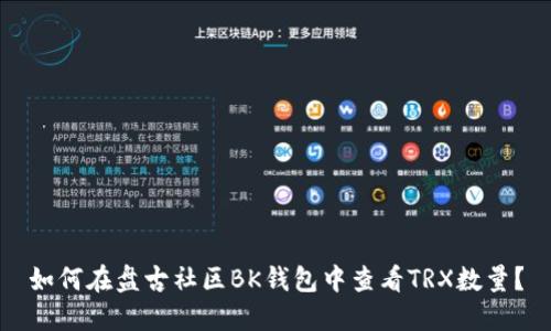 如何在盘古社区BK钱包中查看TRX数量?