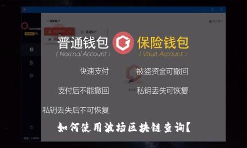 如何使用波场区块链查询?