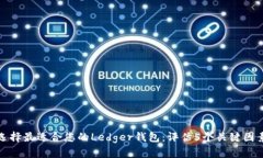 选择最适合您的Ledger钱包:评估5个关键因素
