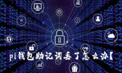 pi钱包助记词丢了怎么办?