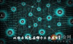 比特币钱包在哪个文件夹里?