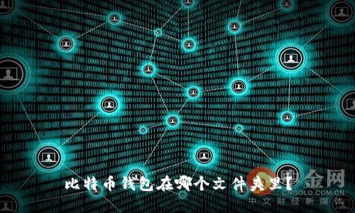 比特币钱包在哪个文件夹里?