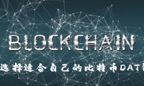 如何选择适合自己的比特币DAT钱包?