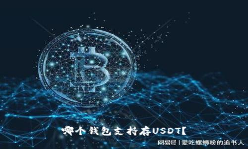 哪个钱包支持存USDT?