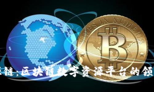 盛源链:区块链数字资源平台的领跑者