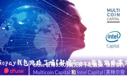 Gopay钱包跑路了吗?解密Gopay钱包跑路事件