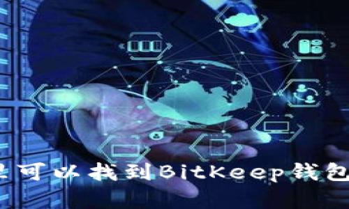 在哪里可以找到BitKeep钱包客服?