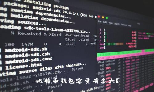 比特币钱包容量有多大?