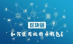 如何使用比特币钱包?
