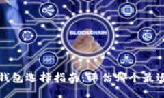 比特币现金钱包选择指南:评估哪个最适合您的