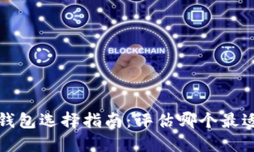 比特币现金钱包选择指南:评估哪个最适合您的需求