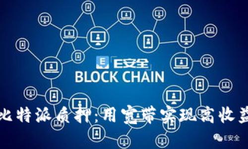 比特派质押:用宽带实现高收益