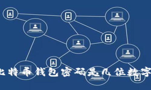 比特币钱包密码是几位数字?