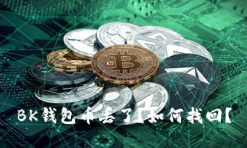 BK钱包币丢了?如何找回?