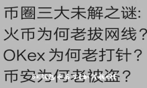 BK钱包币丢了?如何找回?