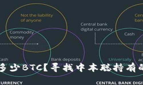 中本聪持有多少BTC?寻找中本聪持有的比特币数量