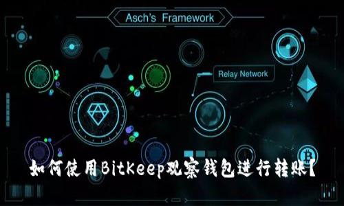 如何使用BitKeep观察钱包进行转账?