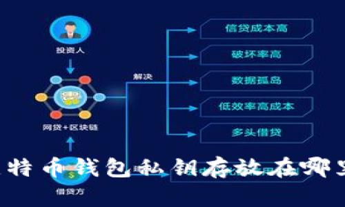 比特币钱包私钥存放在哪里?