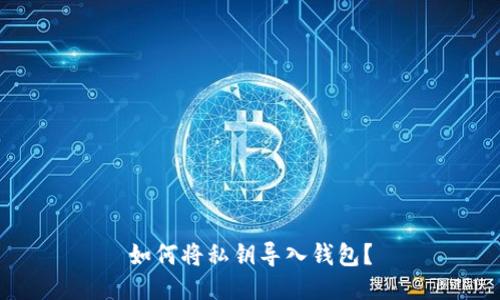 如何将私钥导入钱包?