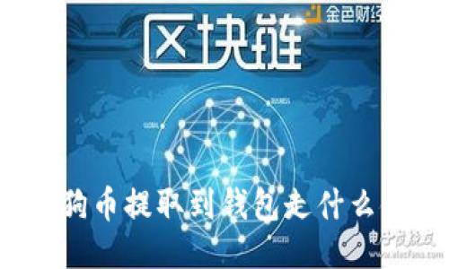 狗狗币提取到钱包走什么链?