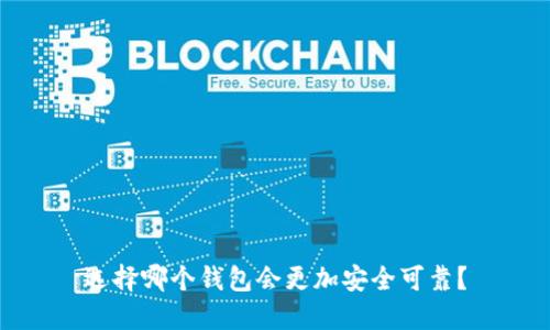 选择哪个钱包会更加安全可靠?