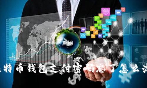 比特币钱包支付密码忘了怎么办?