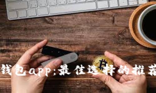 比特币美国钱包app:最佳选择的推荐和使用指南