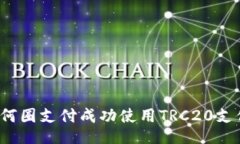 如何圈支付成功使用TRC20支付?