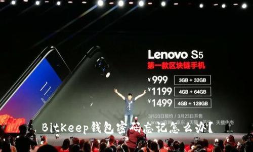 BitKeep钱包密码忘记怎么办?