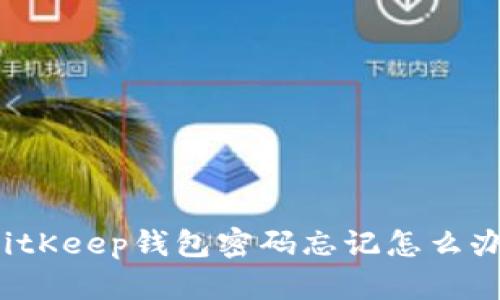 BitKeep钱包密码忘记怎么办?