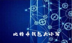 比特币钱包大小写