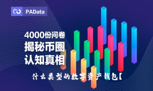 什么类型的数字资产钱包?