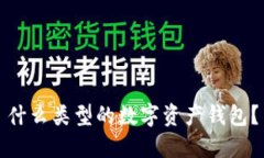 什么类型的数字资产钱包?