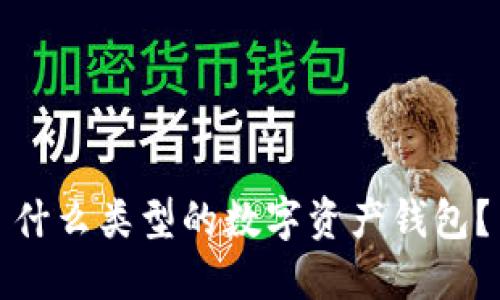 什么类型的数字资产钱包?