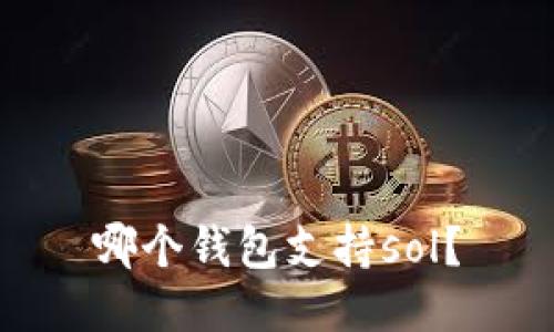 哪个钱包支持sol?