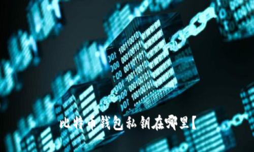 比特币钱包私钥在哪里？