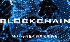 Bitkeep钱包介绍及使用指南: