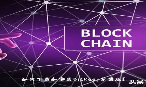 如何下载和安装BitKeep苹果版?
